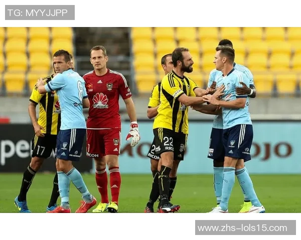 2017年西悉尼对阵惠灵顿精彩赛事回顾与分析